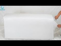 새 바위 류의 박쥐